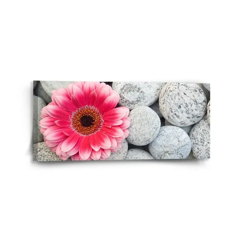 Obraz Gerbera na kamenech - 110x50 cm