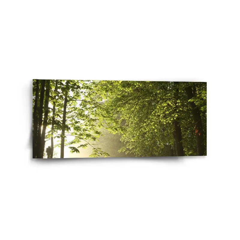 Obraz Lesní cesta - 110x50 cm