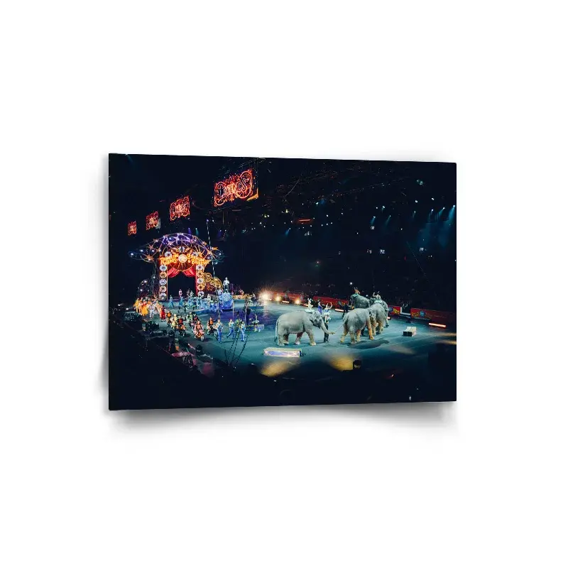 Obraz Cirkus - 90x60 cm