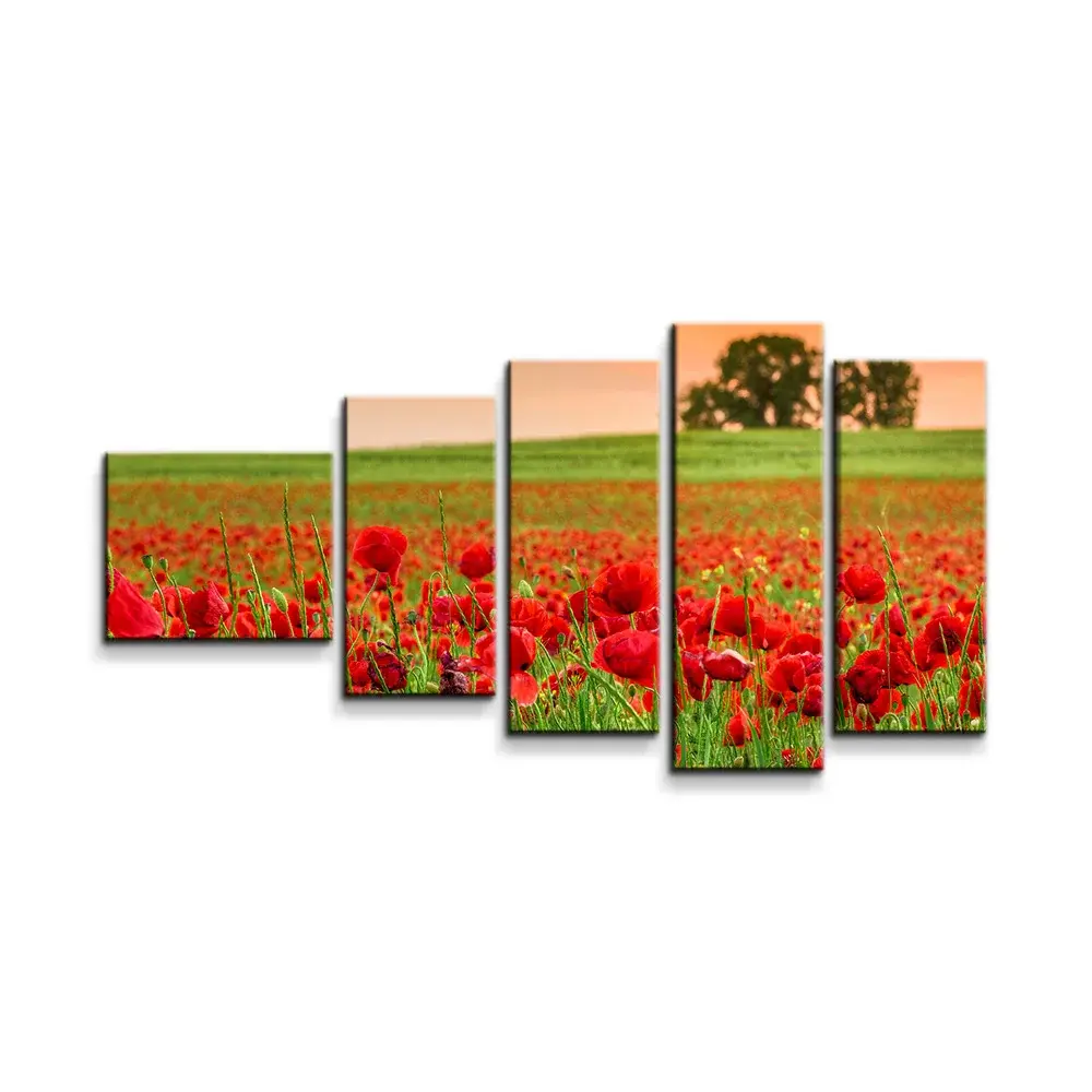 Obraz - 5-dílný Pole vlčích máků 2 - 100x60 cm