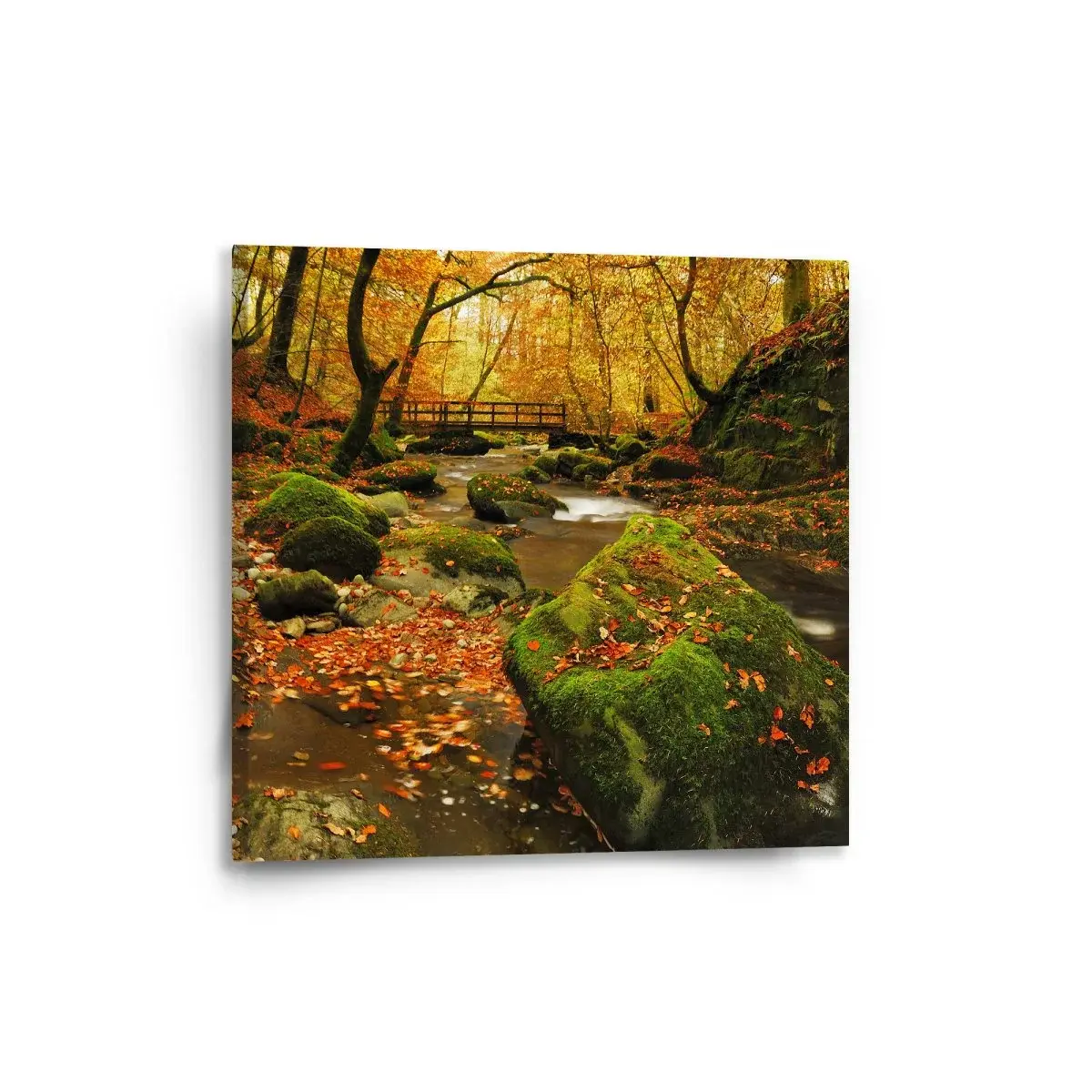 Obraz Most v lese - 50x50 cm
