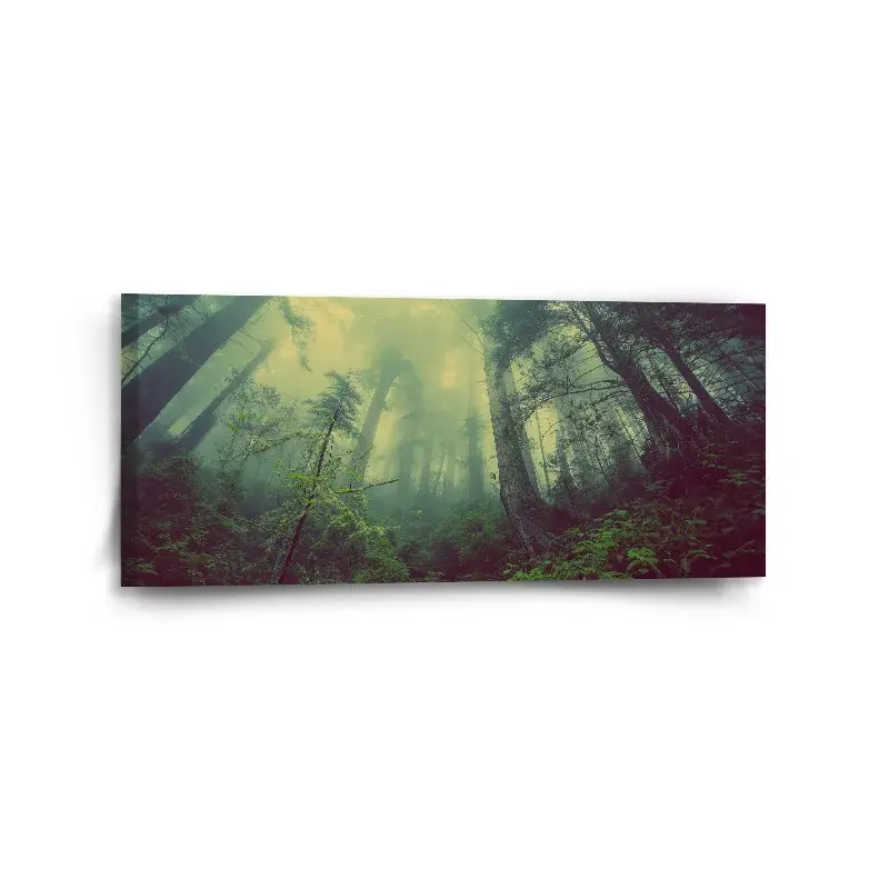 Obraz Temný les - 110x50 cm