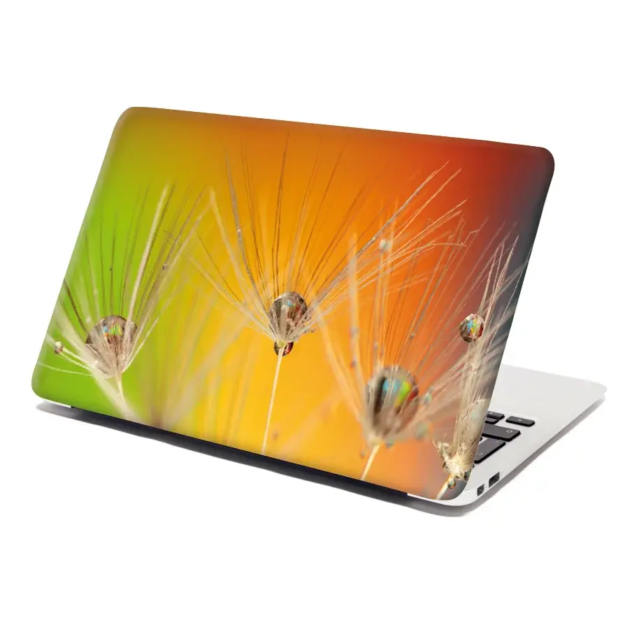 Samolepka na notebook Odkvetlé pampelišky 2 - 29x20 cm
