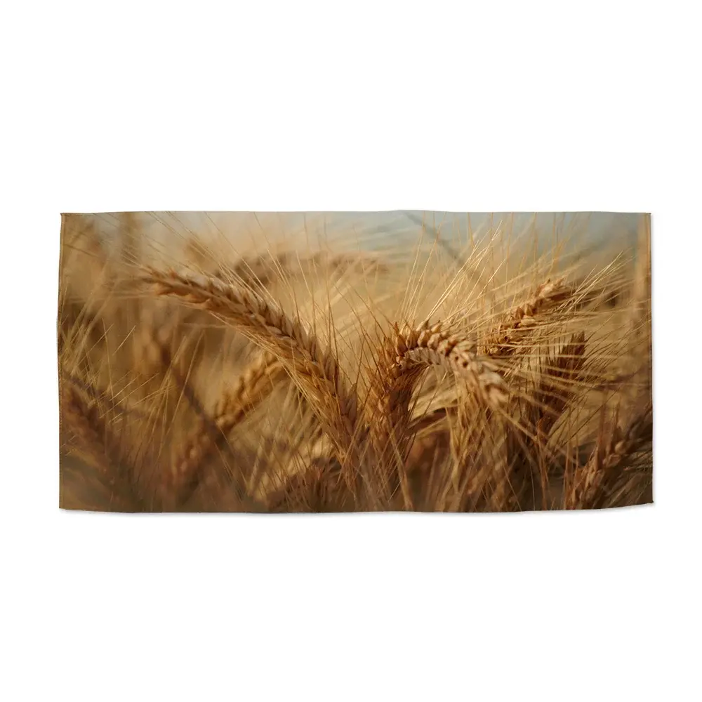 Ručník Klasy 2 - 30x50 cm