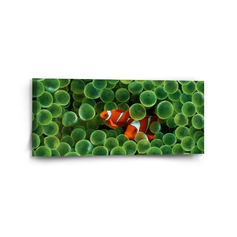 Obraz Klaun očkatý - 110x50 cm