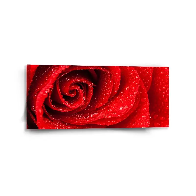 Obraz Květ růže - 110x50 cm
