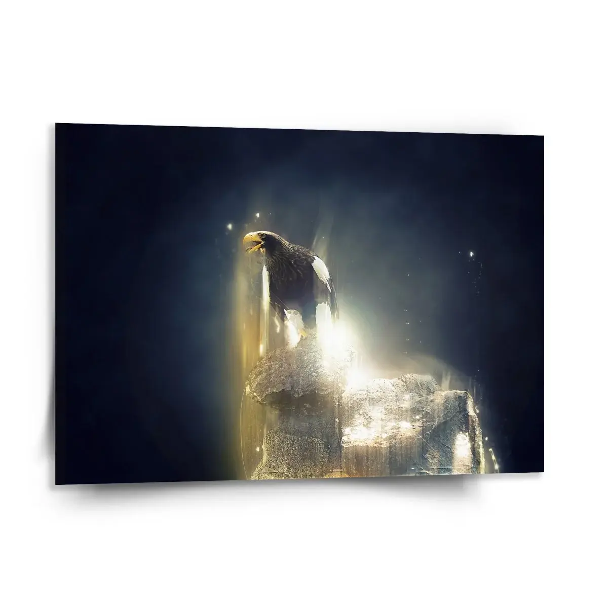 Obraz Orel - 150x110 cm
