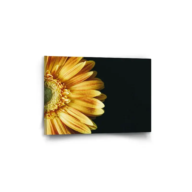 Obraz žlutá gerbera - 60x40 cm