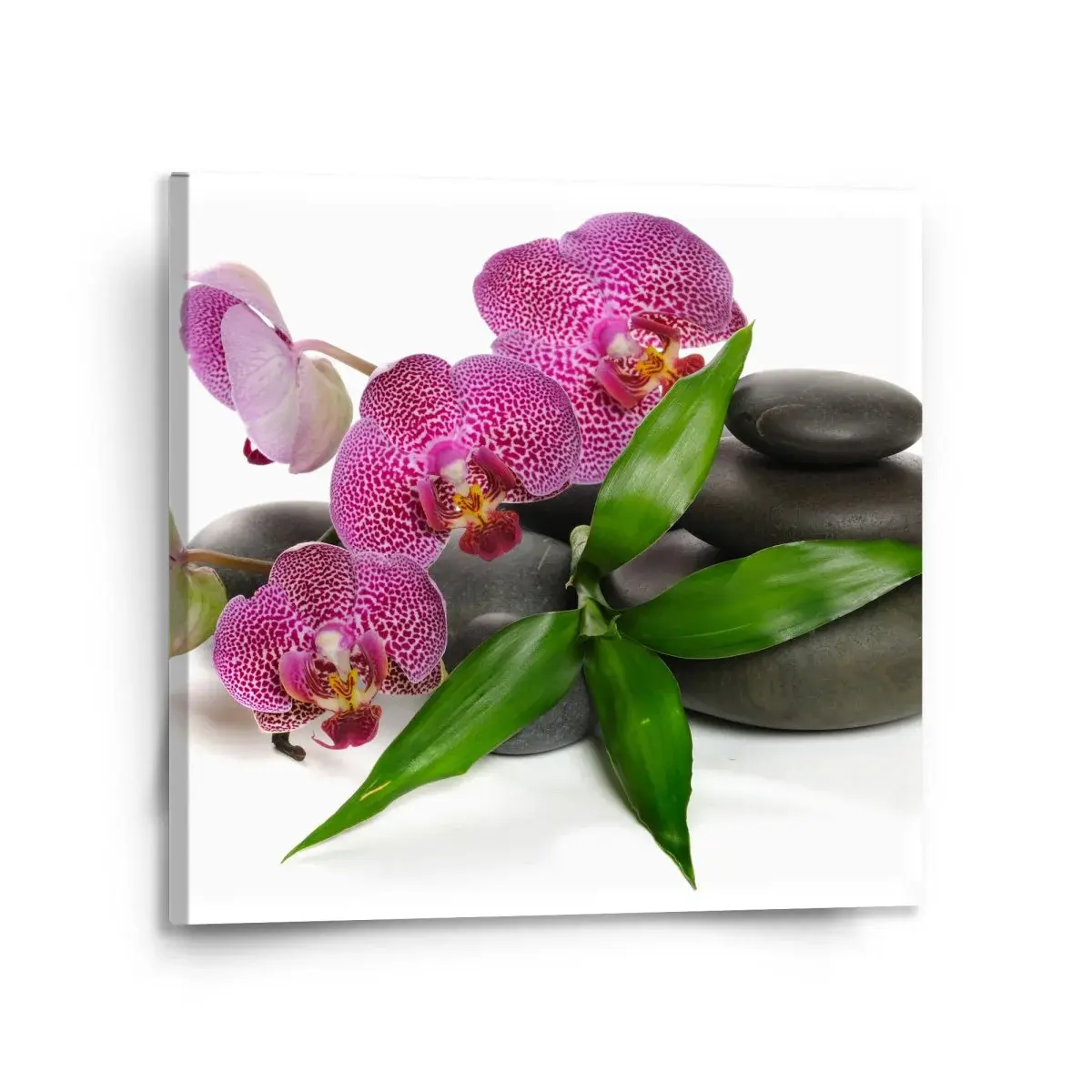 Obraz Orchideje a kameny - 110x110 cm