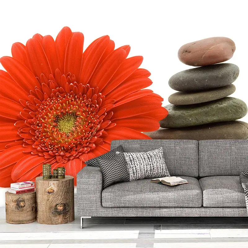 Tapeta Gerbera s kameny - 336x220 cm