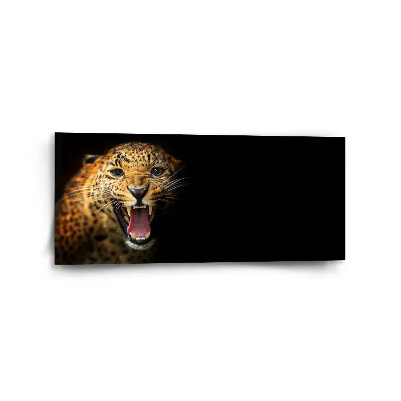 Obraz Gepard 2 - 110x50 cm