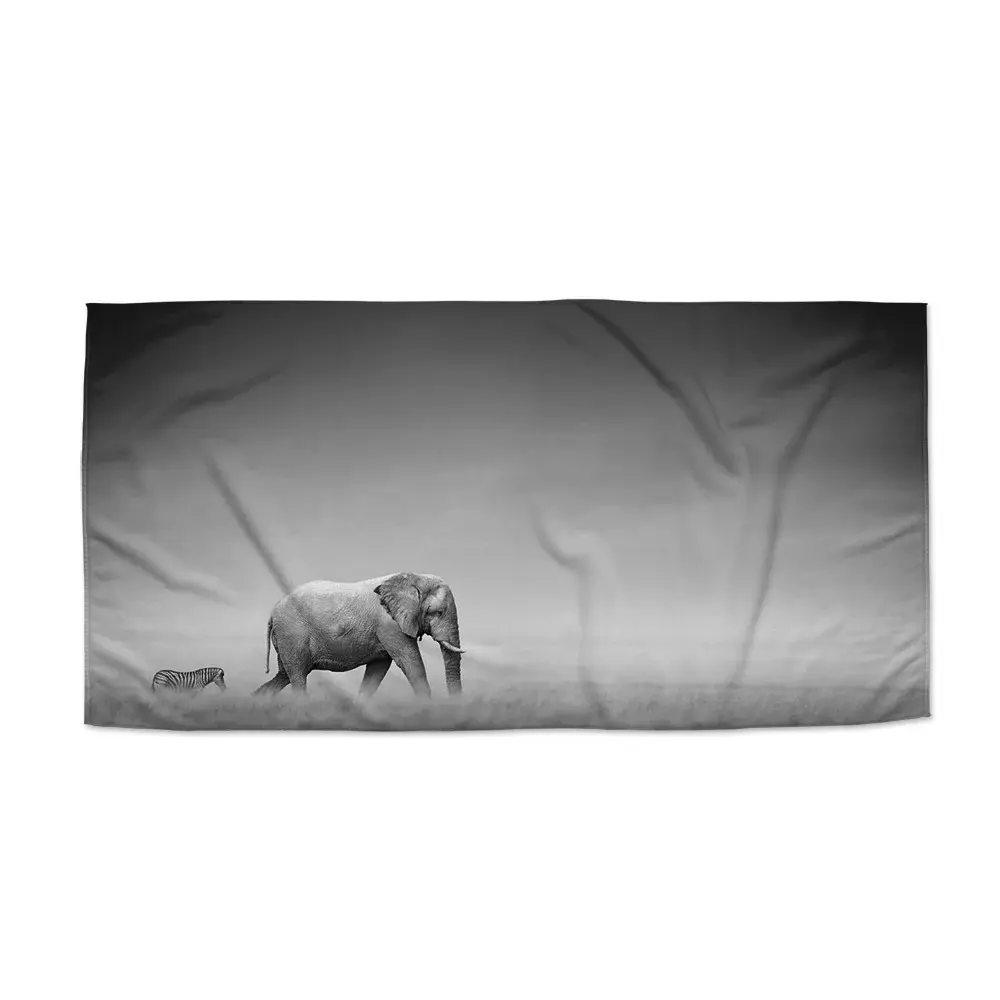 Ručník Slon a zebra - 30x50 cm