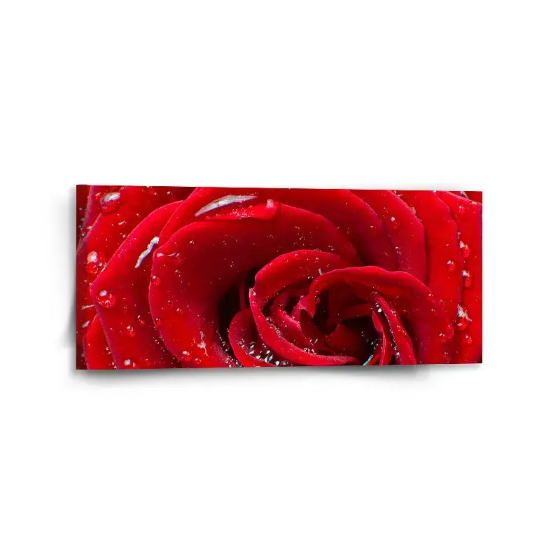 Obraz Růže - 110x50 cm
