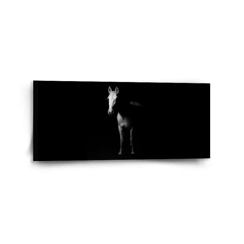 Obraz Kůň ve stínu - 110x50 cm