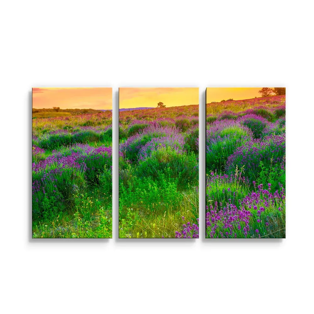 Obraz - 3-dílný Levandulové pole - 120x80 cm