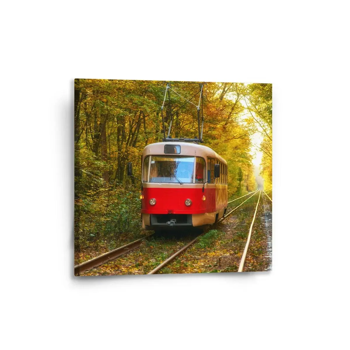 Obraz Červená tramvaj v lese - 50x50 cm