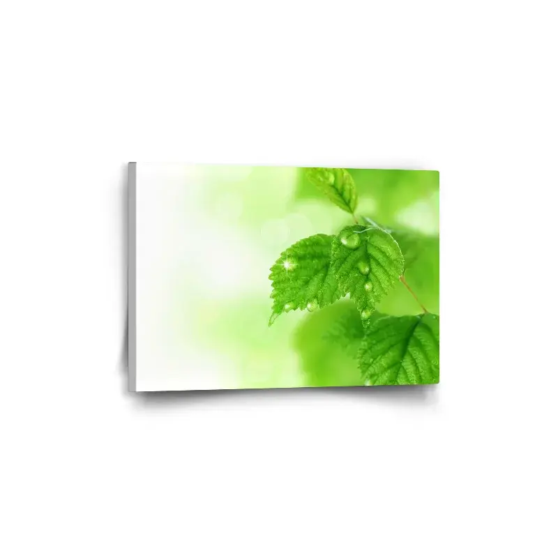 Obraz Listy 3 - 60x40 cm