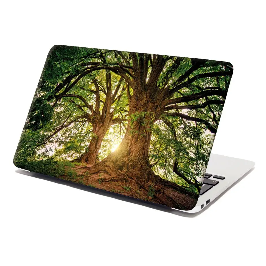 Samolepka na notebook Stromy - 29x20 cm
