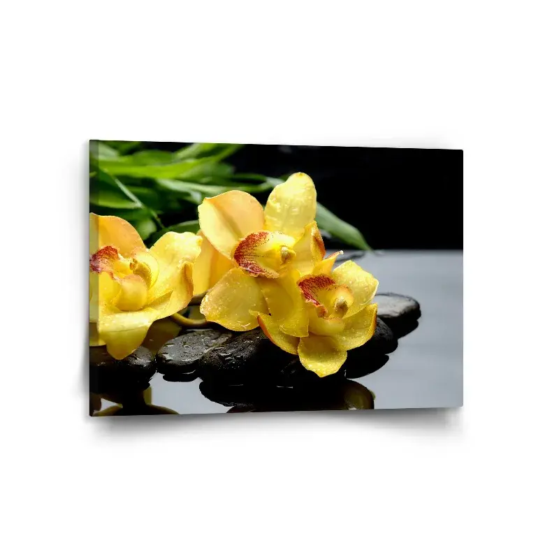 Obraz Žluté orchideje - 120x80 cm