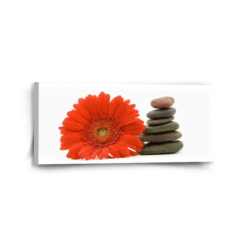 Obraz Gerbera s kameny - 110x50 cm
