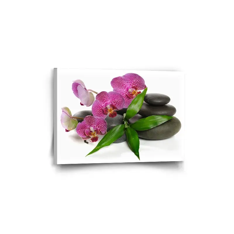 Obraz Orchideje a kameny - 60x40 cm
