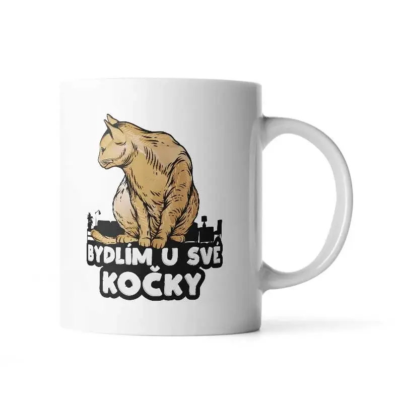 Hrnek Bydlím u své kočky - 890 ml - XXL