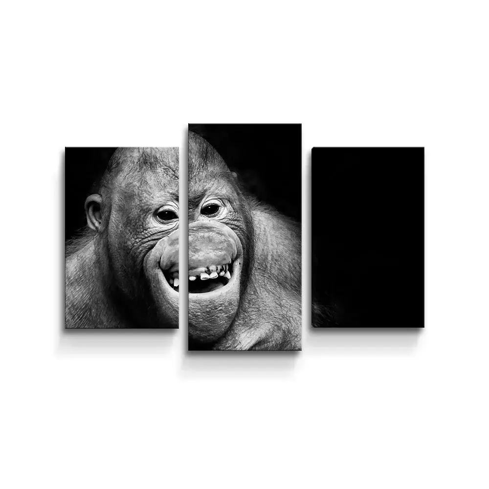 Obraz - 3-dílný Orangutan - 75x50 cm