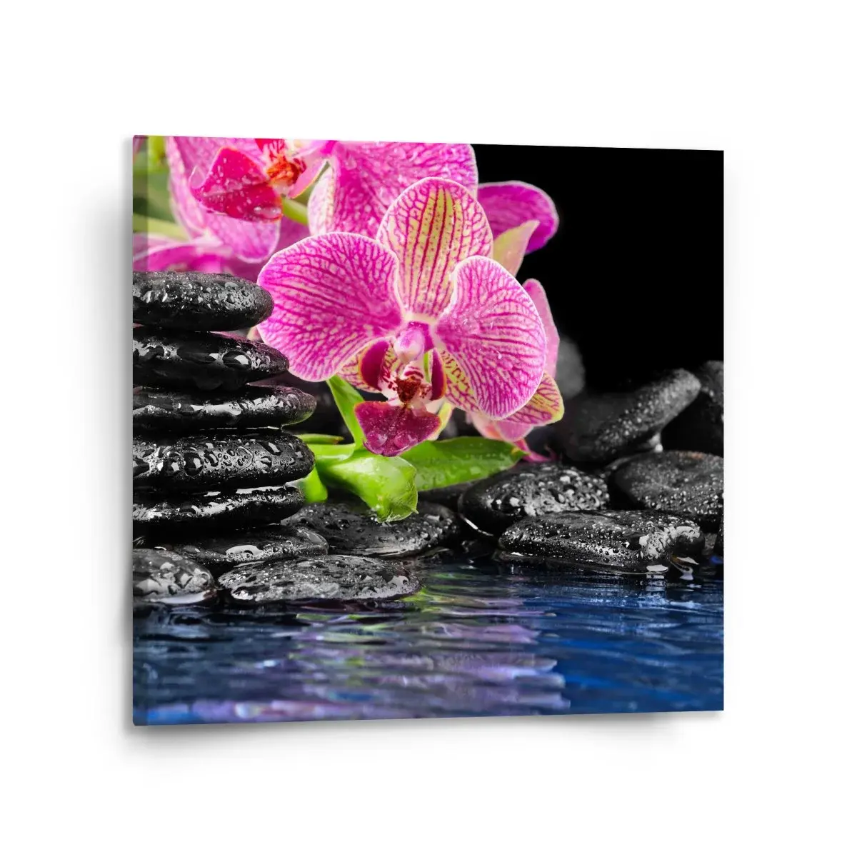 Obraz Orchidej na kamenech - 110x110 cm