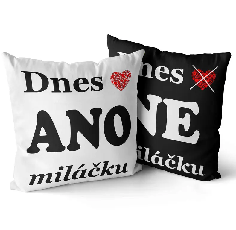Polštář Dnes ano (ne) (Velikost: 40 x 40 cm)