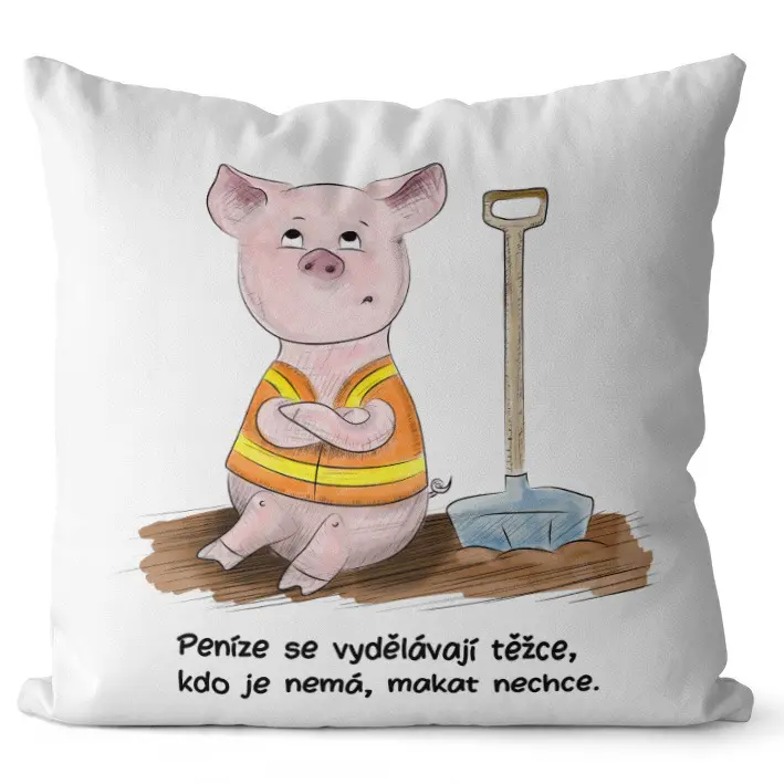 Polštář Makat nechce (Velikost: 40 x 40 cm)