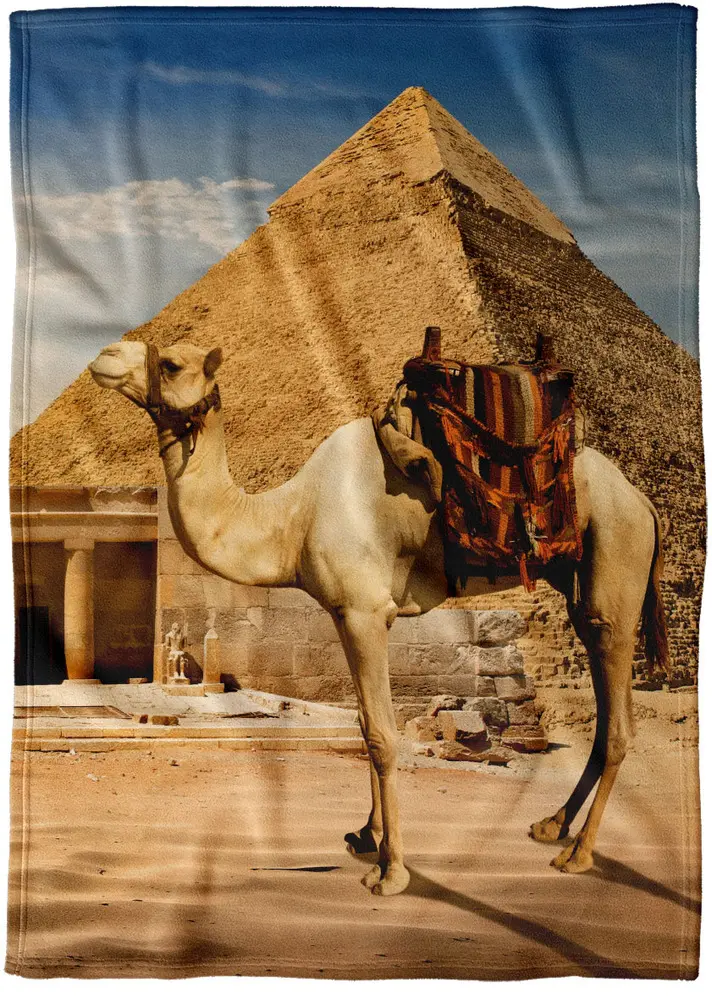 Deka Velbloud u pyramidy (Rozměr :