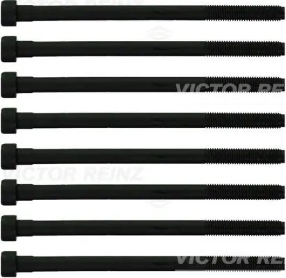 Sada šroubů hlavy válce VICTOR REINZ 14-10276-02