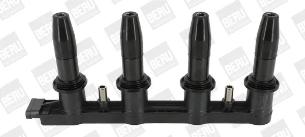 Zapalovací cívka BorgWarner (BERU) ZSE199