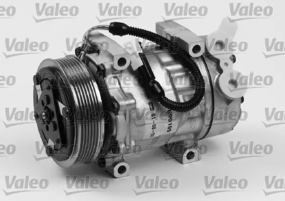VALEO Kompresor, klimatizace 699199