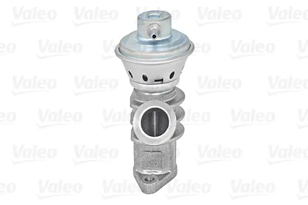 VALEO AGR-Ventil 700405