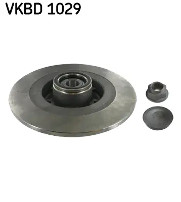 SKF Brzdový kotouč VKBD1029