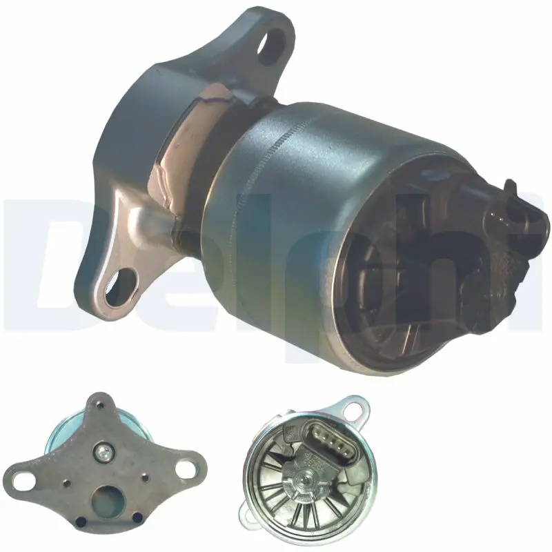 AGR-Ventil DELPHI EG10004-12B1