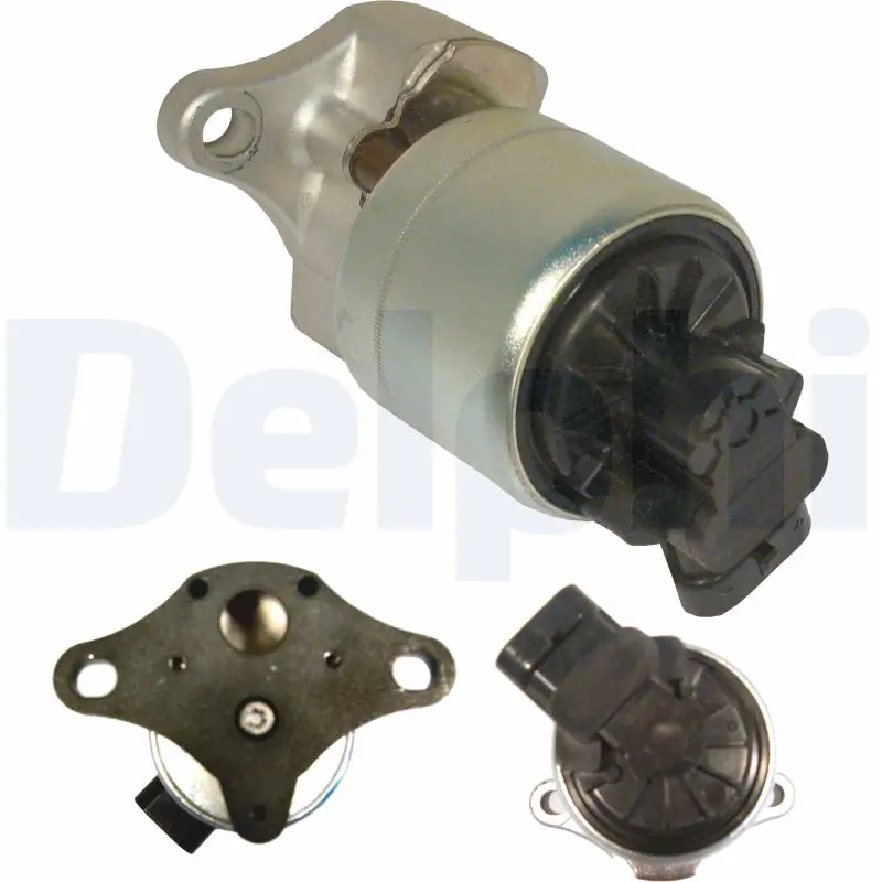 AGR-Ventil DELPHI EG10256-12B1