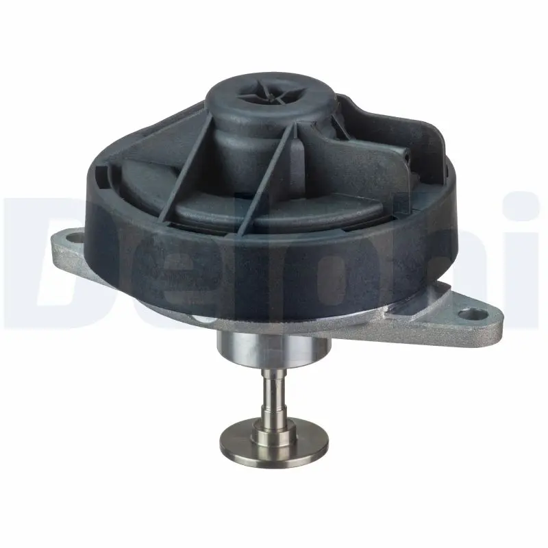AGR-Ventil DELPHI EG10444-12B1