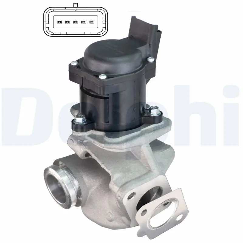AGR-Ventil DELPHI EG10507-12B1
