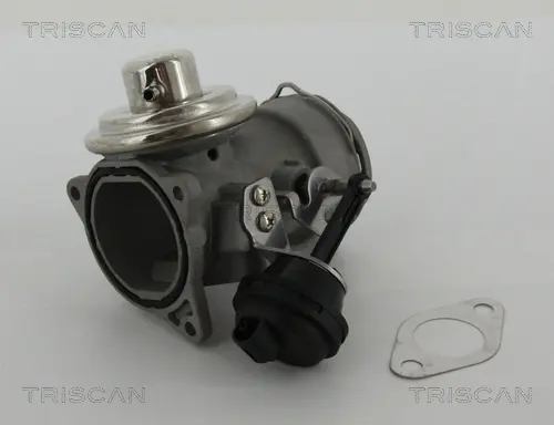 AGR-Ventil TRISCAN 8813 29036