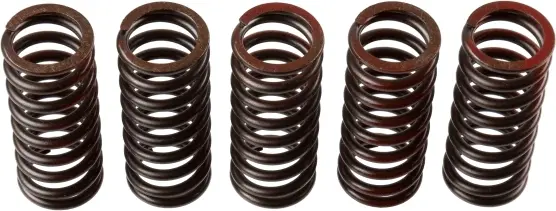 TRW ZF spojkové pružiny YAMAHA YZ 250F 05-07 (TRW ZF spojkové pružiny YAMAHA YZ 250F 05-07)