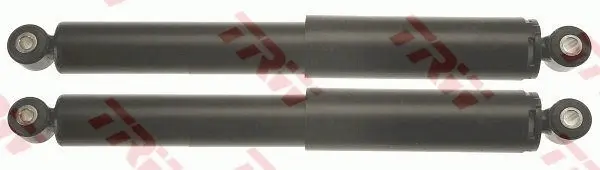 TRW Tlumič pérování JGT1132T
