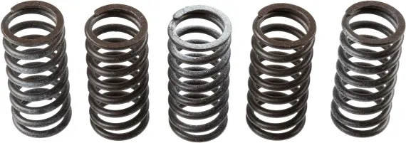 TRW ENGINE COMPONENT spojková pružina - sada HONDA CBR 250 RA (ABS), RR, R 11-18, CRF 250 L RALLY, L 13-20 (TRW ENGINE COMPONENT spojková pružina -)