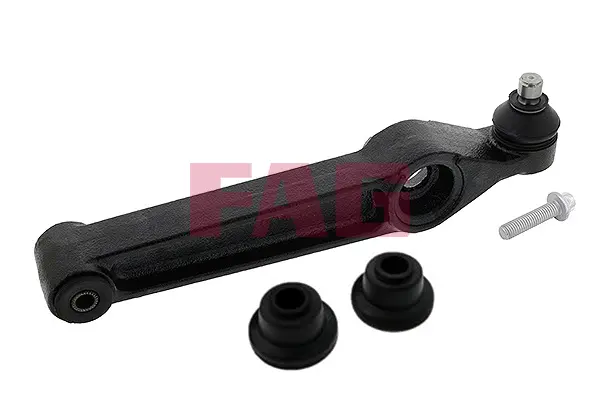 Řídicí páka, zavěšení kol Schaeffler FAG 821 0289 10