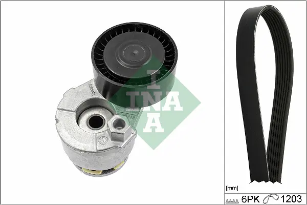 Sada žebrovaných klínových řemenů Schaeffler INA 529 0009 10