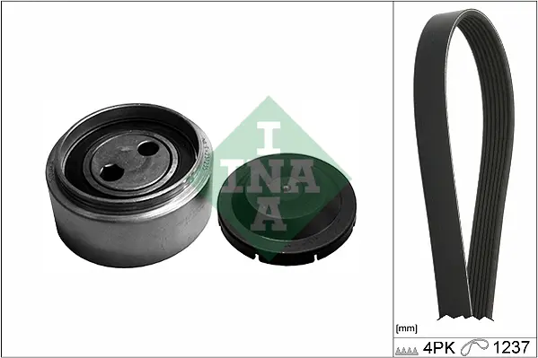 Sada žebrovaných klínových řemenů Schaeffler INA 529 0087 10