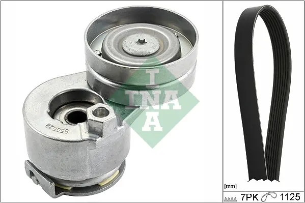 Sada žebrovaných klínových řemenů Schaeffler INA 529 0088 10