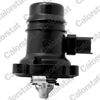 Termostat, chladivo CALORSTAT by Vernet TE7246.80J