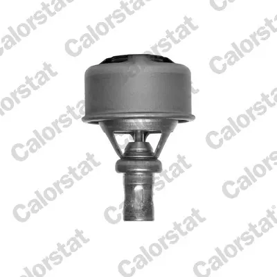 Termostat, chladivo CALORSTAT by Vernet 4495.89